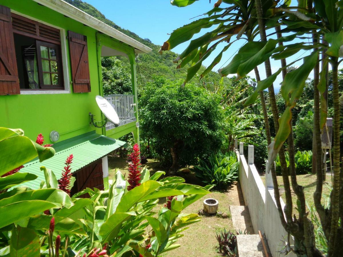 Jardin Bananier Apartment Deshaies Exterior photo